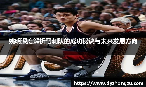 BB贝博官网
